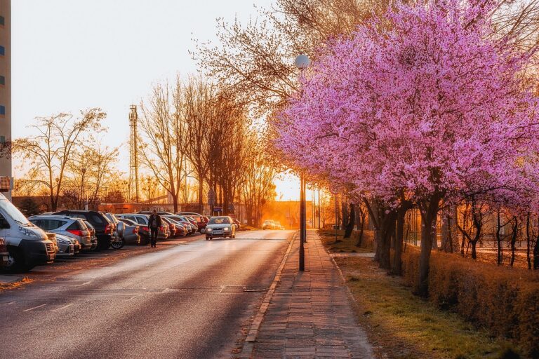 Analyzing the Impact of Climate Change on Car Rental Demand in Tourist Destinations: Diamondexch999 login, Sky exchange sign up, Diamondexch999