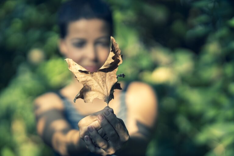 Fashion Photography and Nature: Incorporating Natural Elements: Gold bet, Tiger exch login, Betbook250