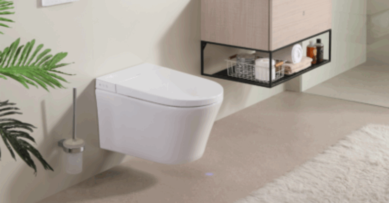 Transform Your Bathroom Experience with the Perfect Bidet Toilet and Toilet Bowl