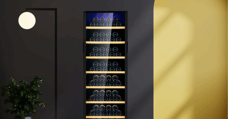 The Ultimate Guide to Choosing the Best Wine Fridge for Your Collection