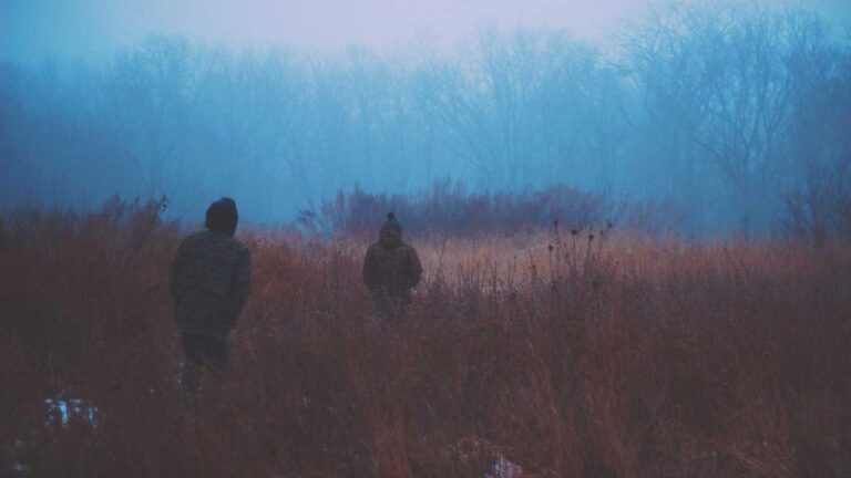 What Is The Gameplay Structure Of 99Exch Andar Bahar?